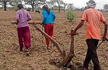 UP-family has no oxen, no tractors, so daughters plough land